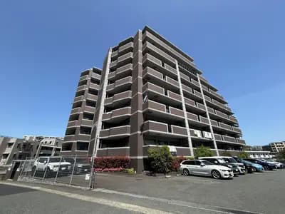 会员限定