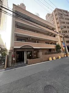 会员限定