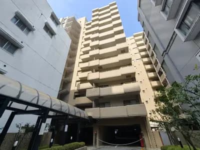会员限定