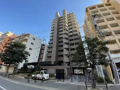 会员限定