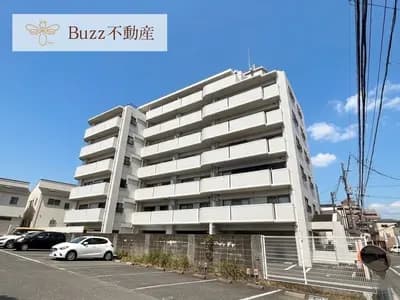 会员限定