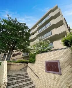 会员限定