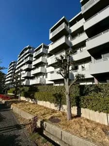 會員限定