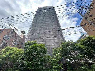 会员限定