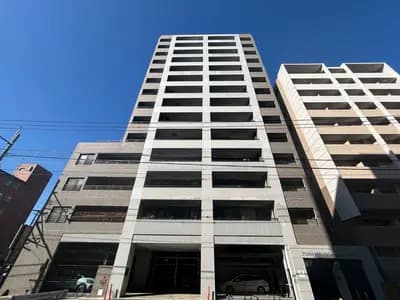 会员限定