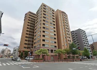 会员限定