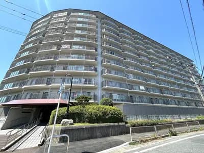 会员限定