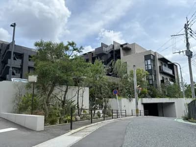 会员限定