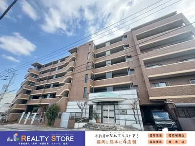 會員限定