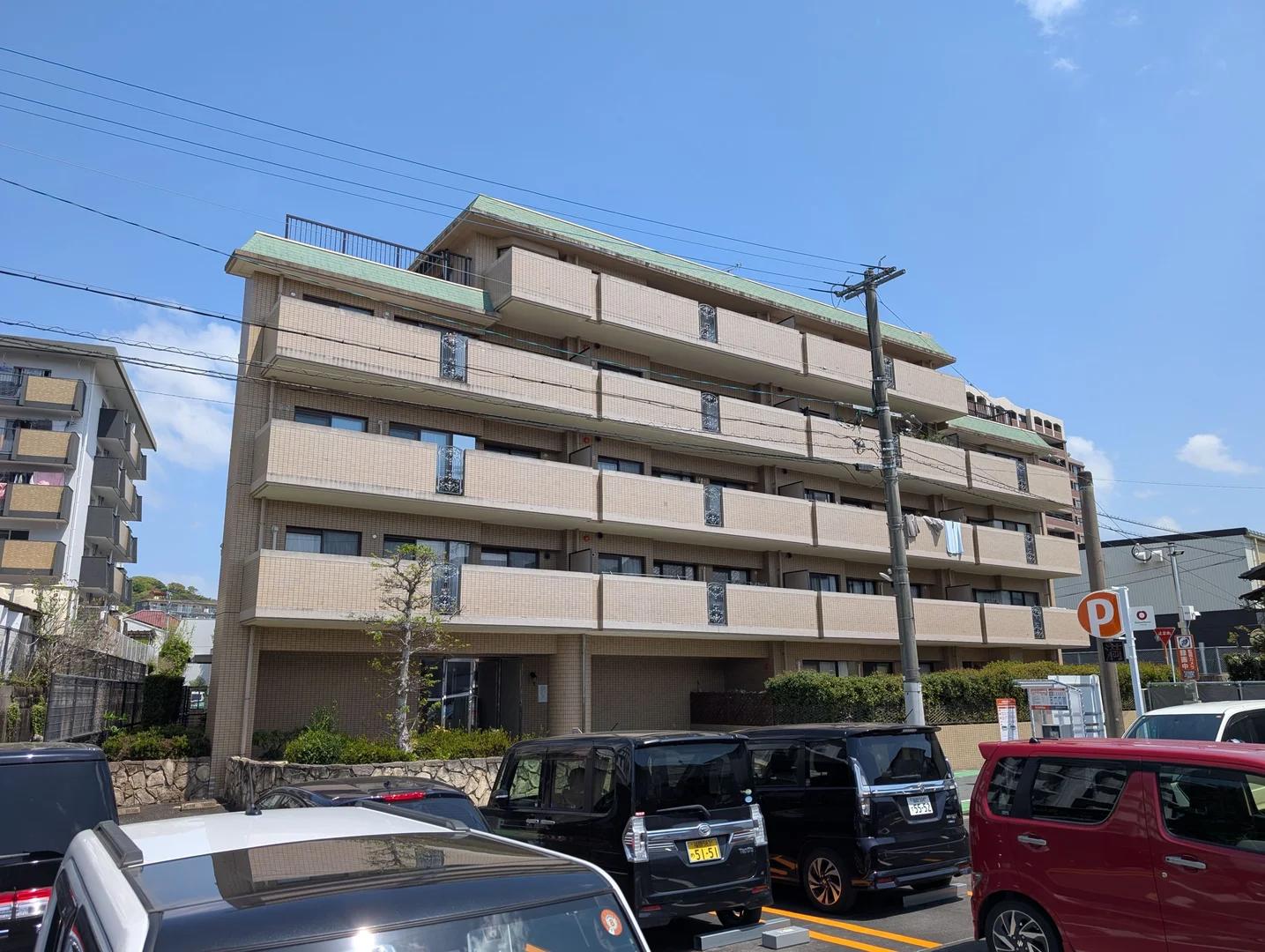 Amex Viltage Nagaoka