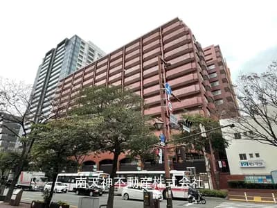 会员限定