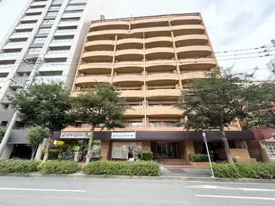 会员限定