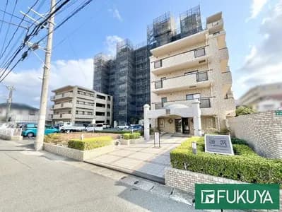 会员限定