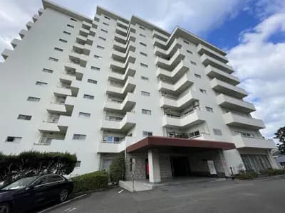 會員限定