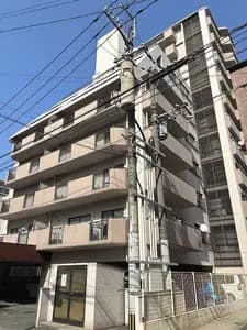 會員限定