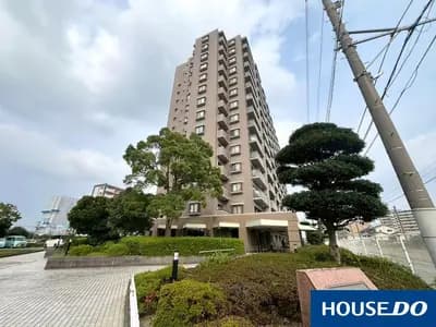 会员限定