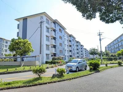 會員限定