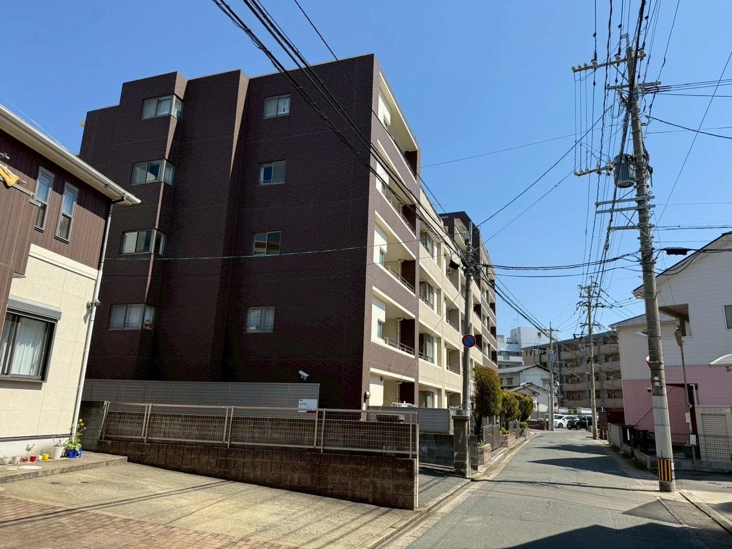 Alfine 大橋2
