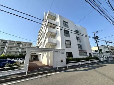 White Pier Susenji
