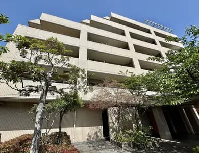 Cosmo City 地行