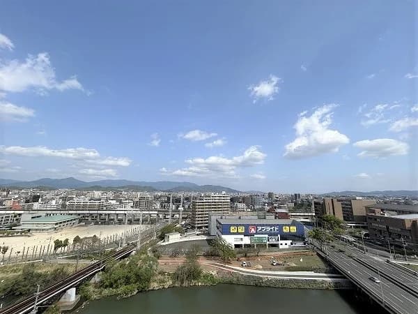 Regius 大橋