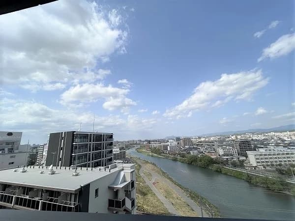 Regius 大橋