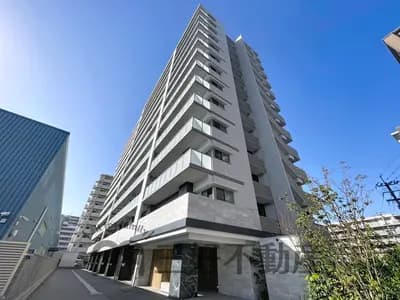 会员限定