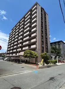 會員限定