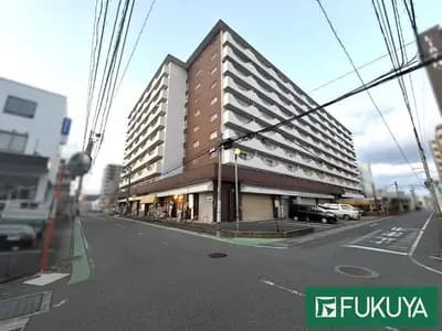 会员限定