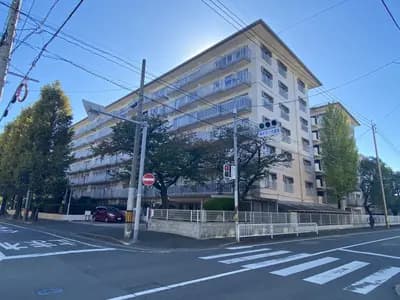会员限定