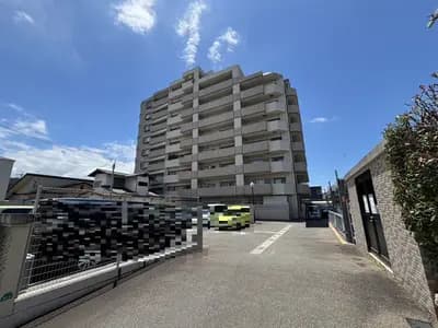會員限定