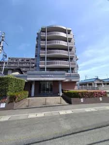 会员限定