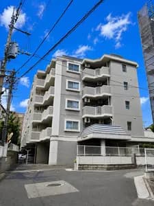 会员限定
