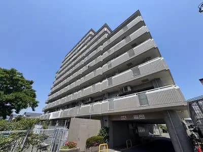 会员限定