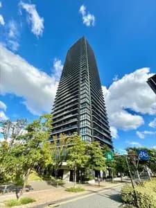 Teruha The Tower
