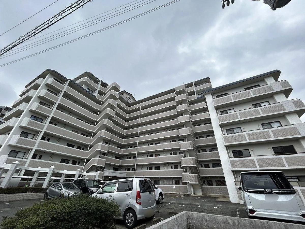 Amour Wajiro 3