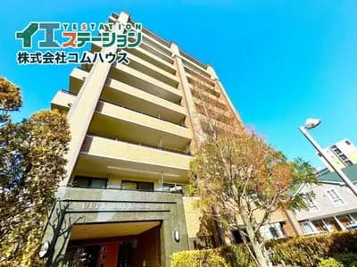 会员限定