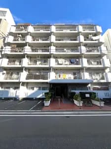 会员限定