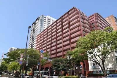 會員限定