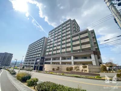 会员限定
