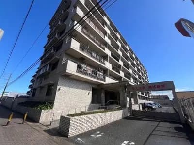 會員限定