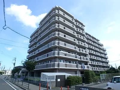 会员限定