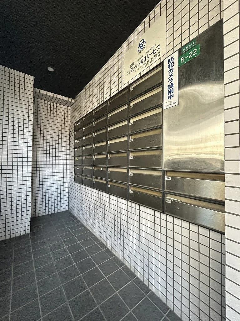 Saintpolia Minami-Fukuoka
