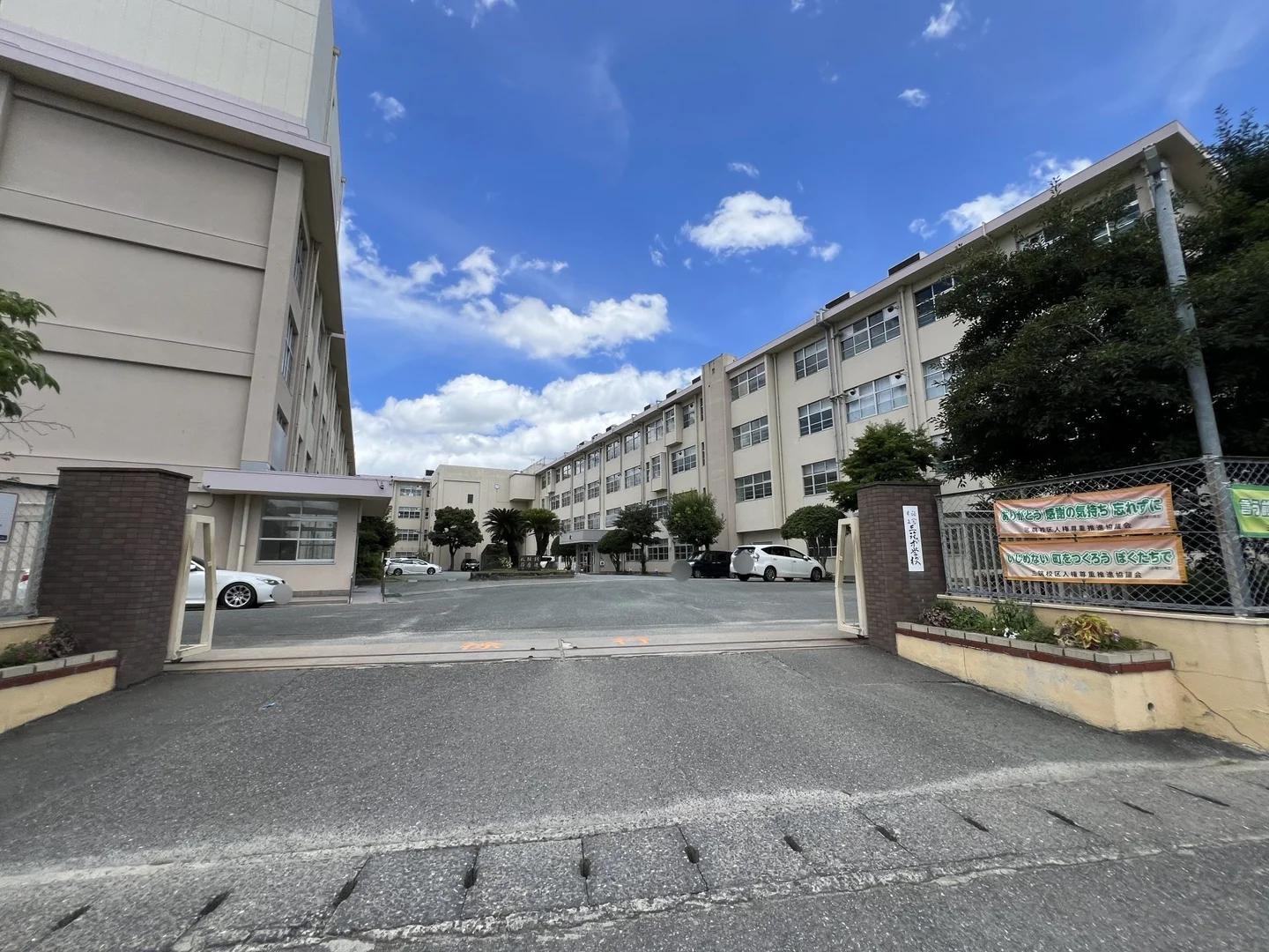 Saintpolia Minami-Fukuoka