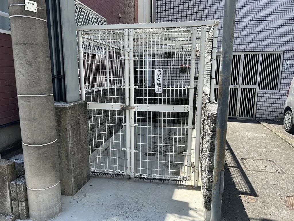 Saintpolia Minami-Fukuoka