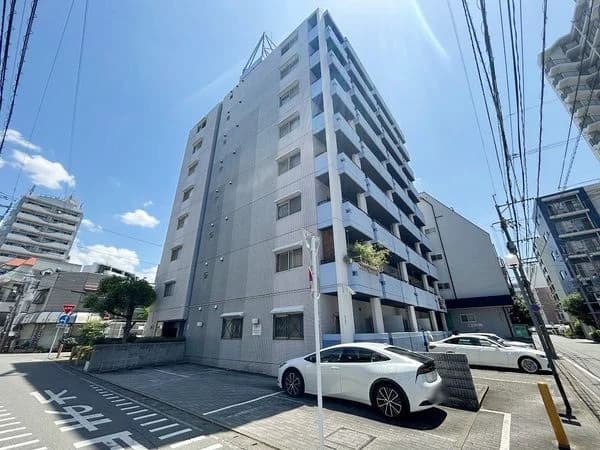 Saintpolia Minami-Fukuoka