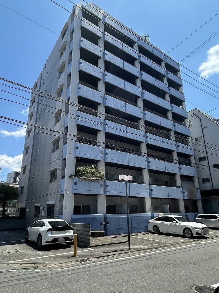 Saintpolia Minami-Fukuoka