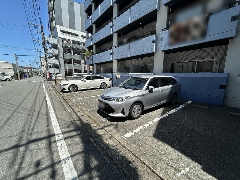Saintpolia Minami-Fukuoka
