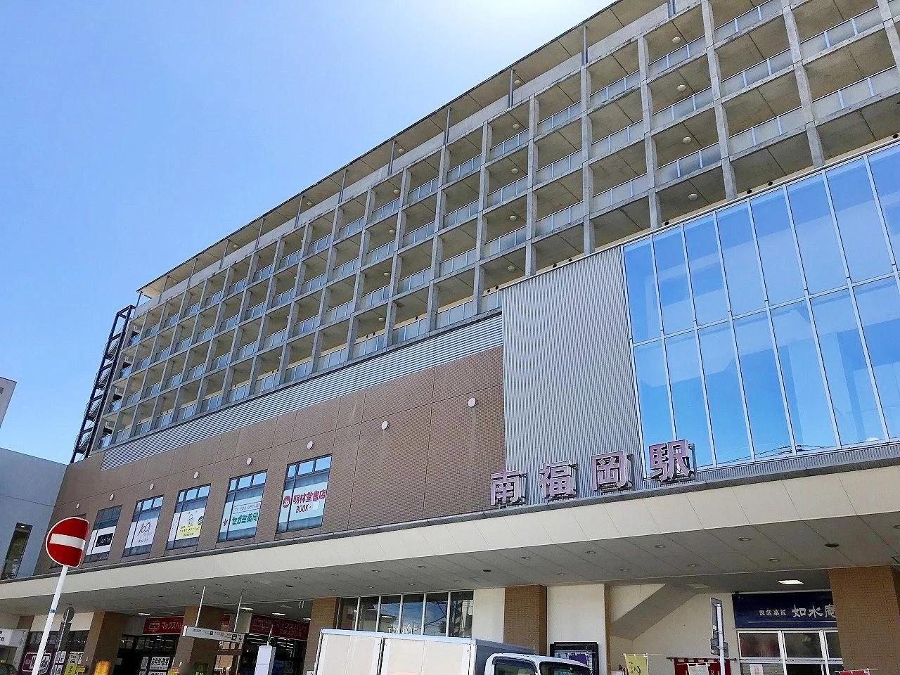 Saintpolia Minami-Fukuoka