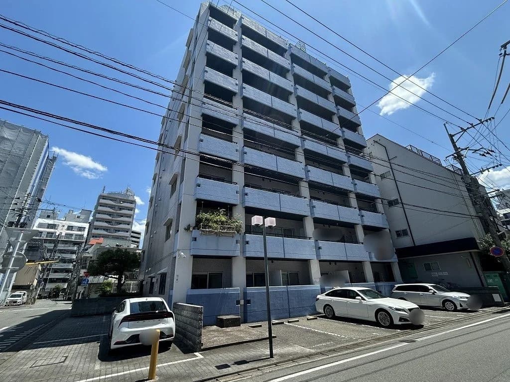 Saintpolia Minami-Fukuoka